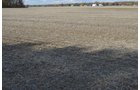 Property photo 27 - 75.3 Acres Offered in 2 Tracts